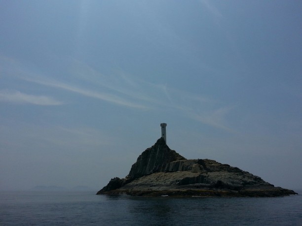 업체이미지