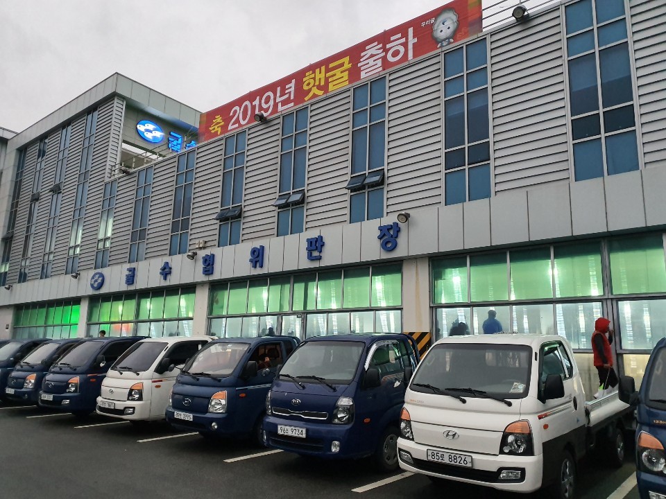 평화수산굴수협중매인21번