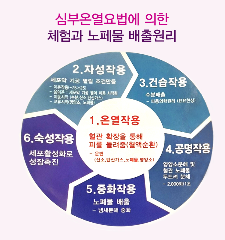 그린해독센타