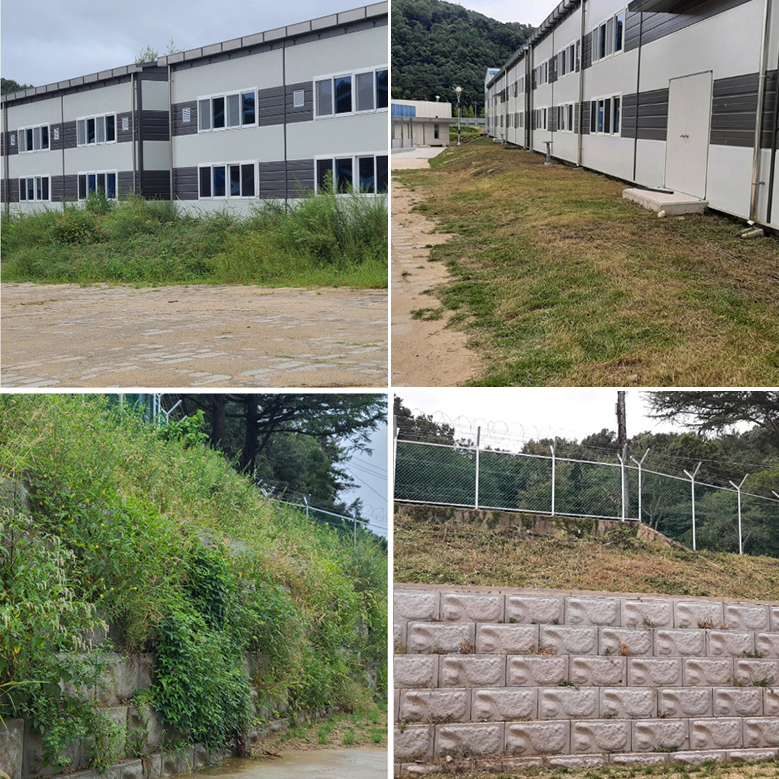 청림종합관리 청림종합관리 