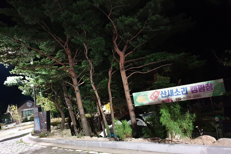 오색산새소리캠핑장