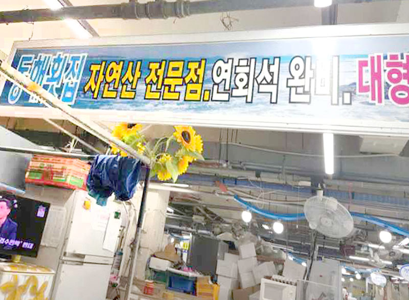 동해회센타
