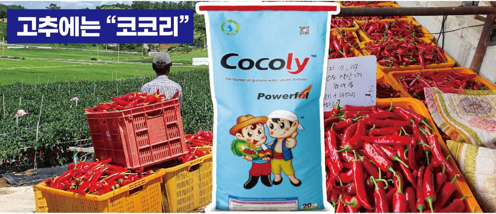농업회사법인(유)농사원