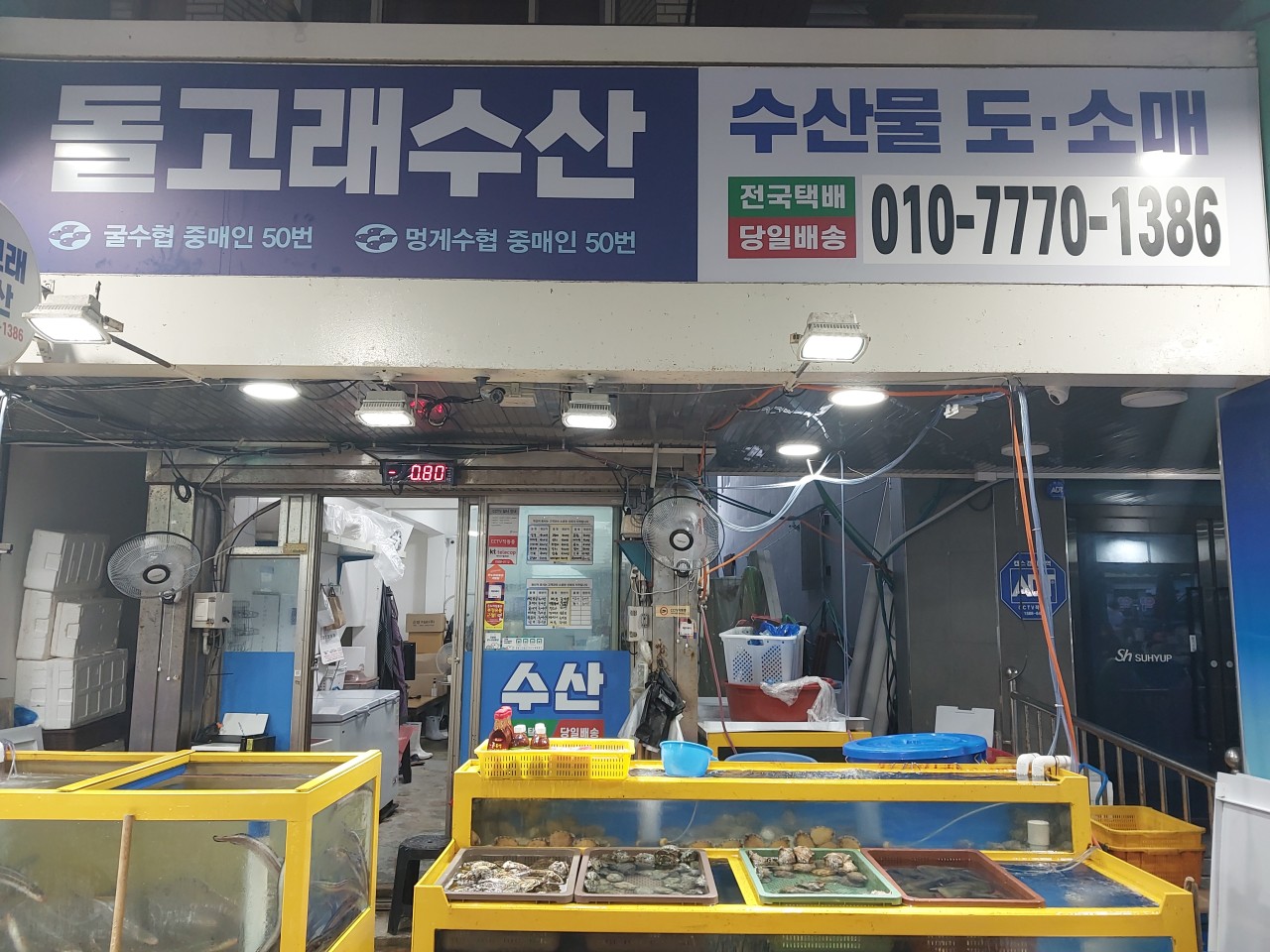 돌고래수산