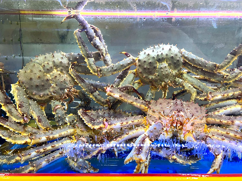 역전횟집&대게