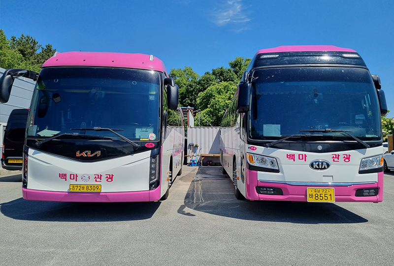 백마관광여행사