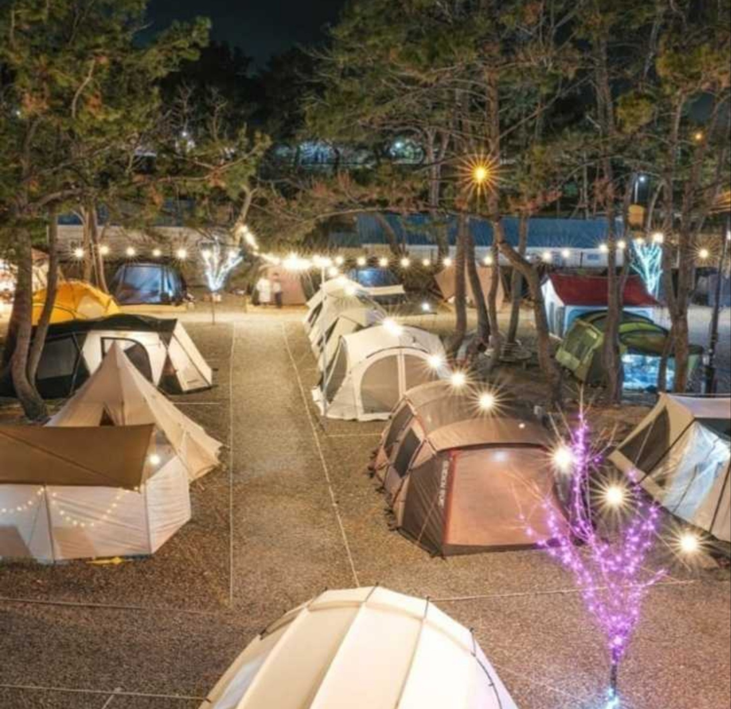 주전패밀리캠핑장
