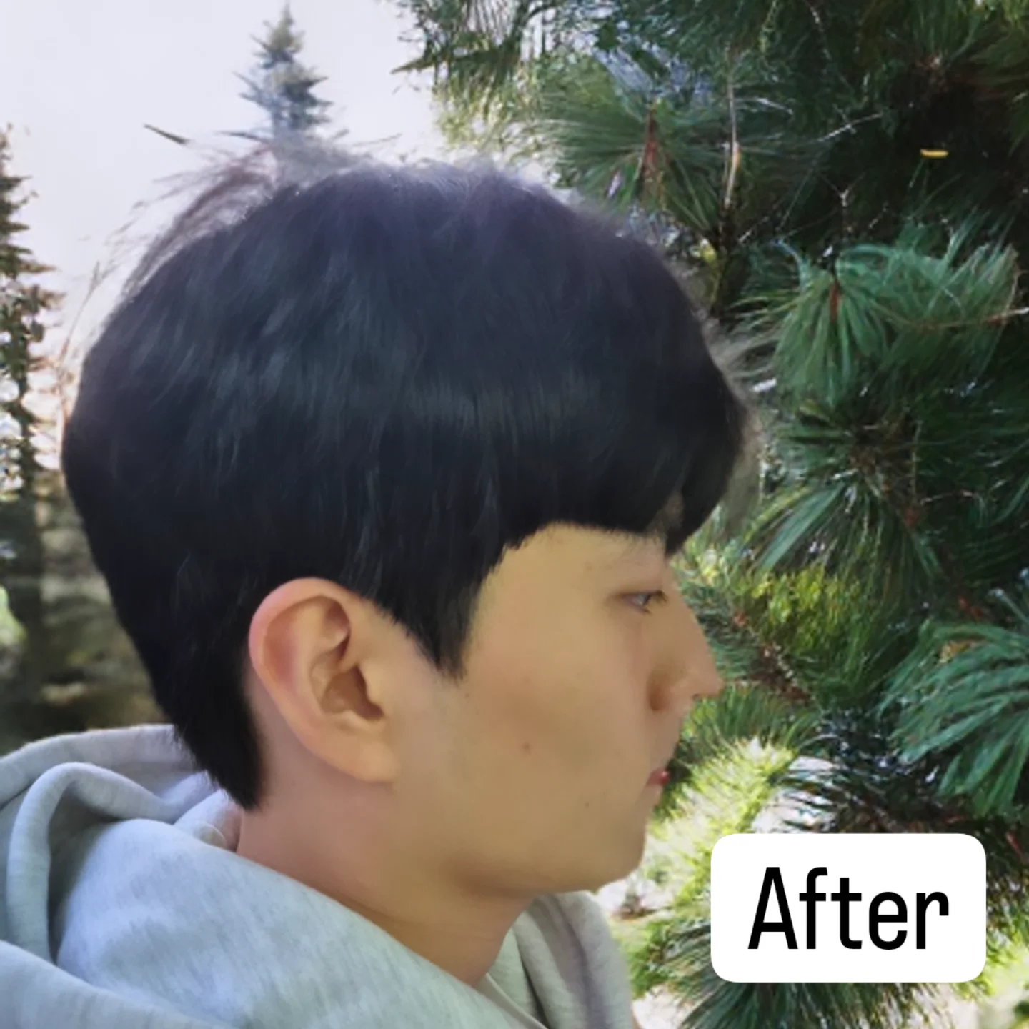 보떼헤어샵