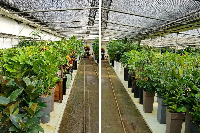 음성화훼유통 이미지