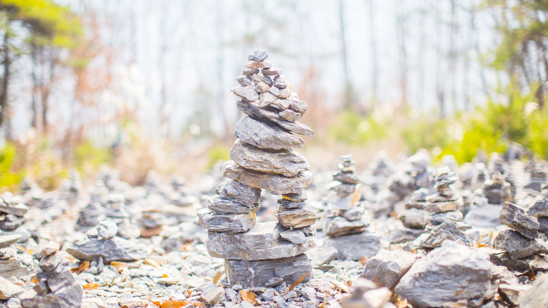 소원성취, 사업재물운, 직업운, 이성배우자운