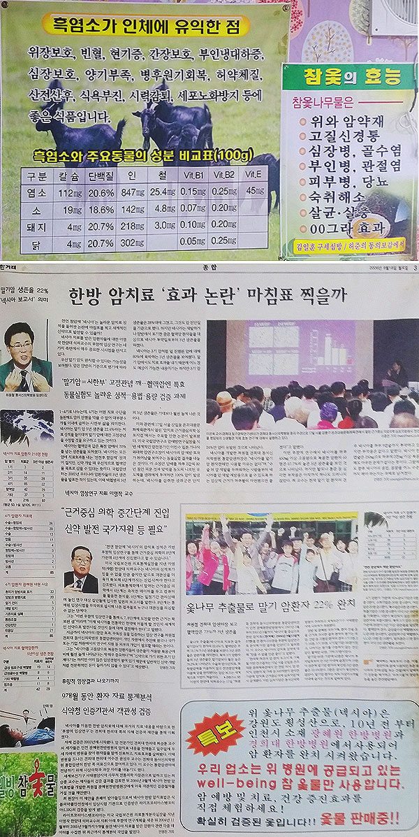 보양식의 효능