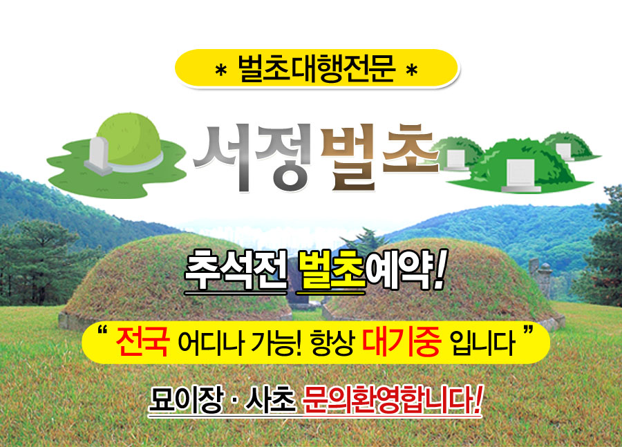 서정벌초 이미지