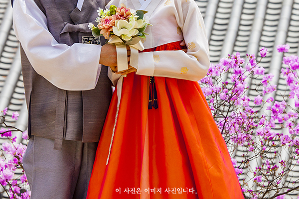 업체이미지