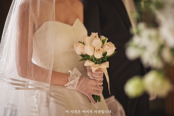 업체이미지