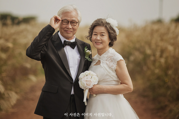업체이미지