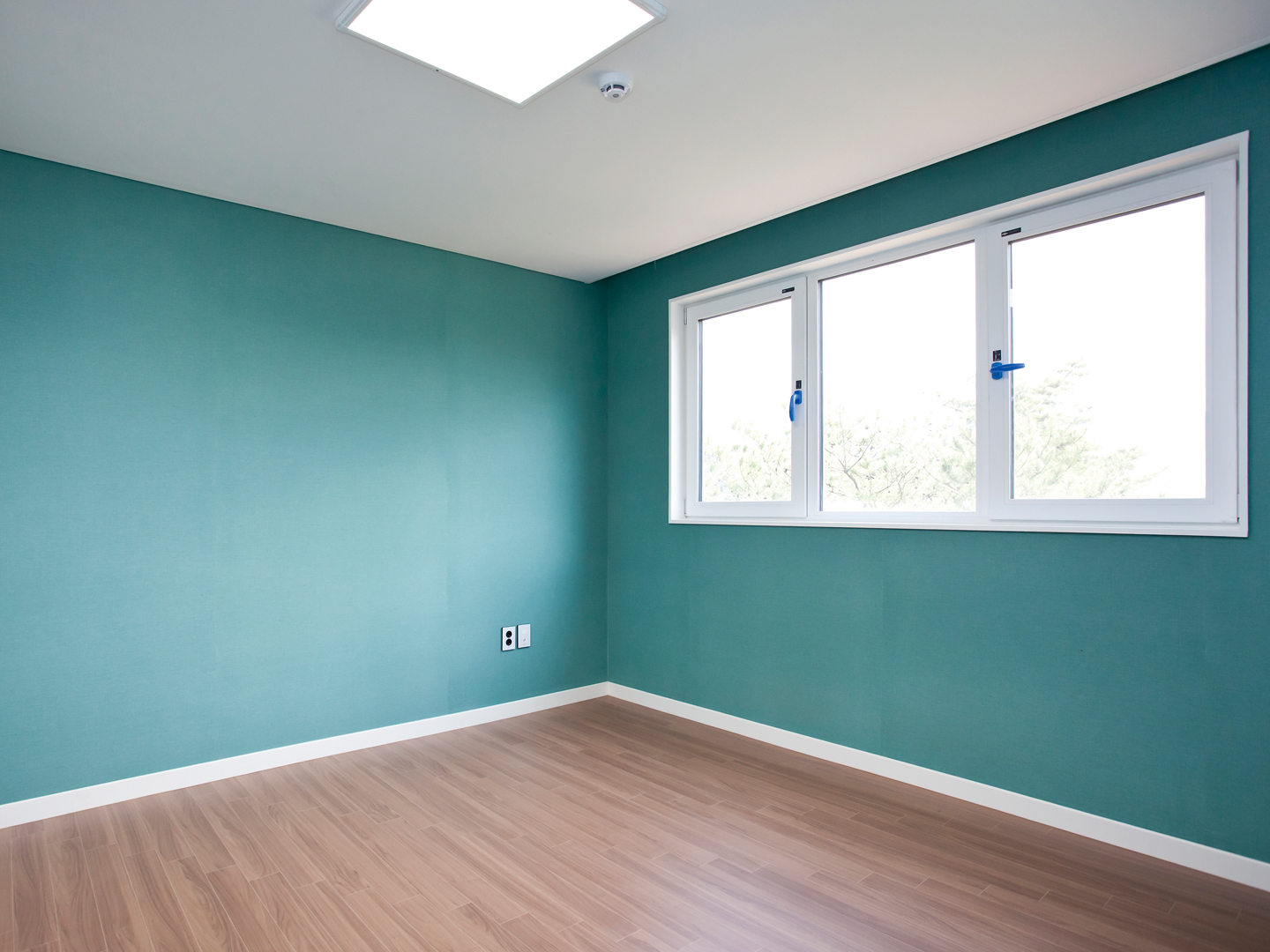 온평지업사 이미지