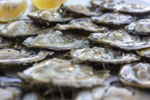 굴이랑매생이랑 이미지