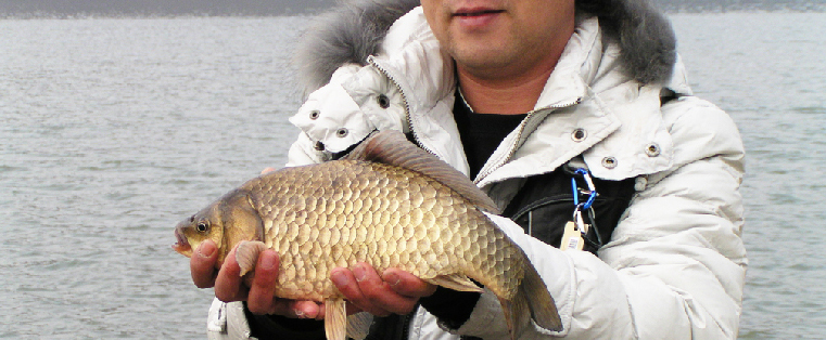 송전낚시터수원집(송전지) 이미지