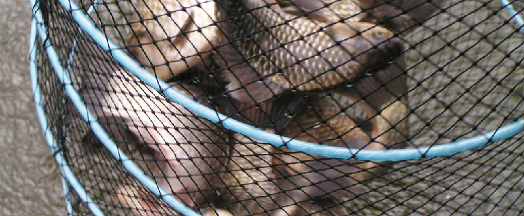 송전낚시터수원집(송전지) 이미지