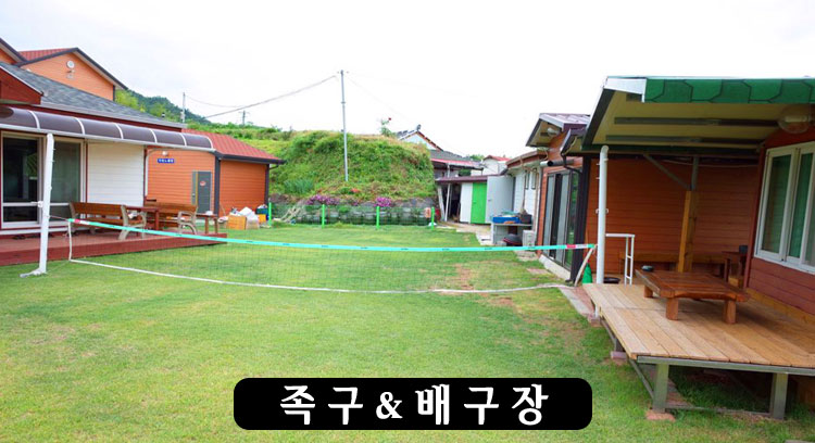 업체이미지
