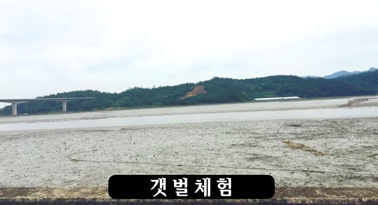 업체이미지