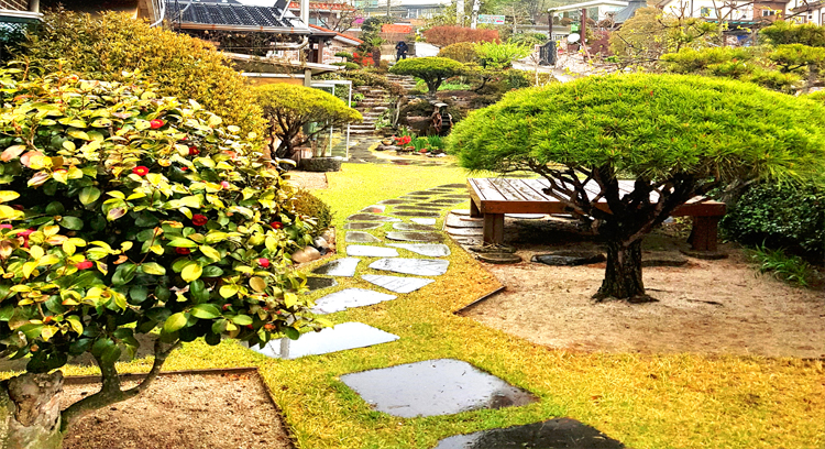 약산흑염소가든 이미지