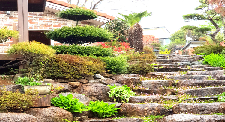 약산흑염소가든 이미지