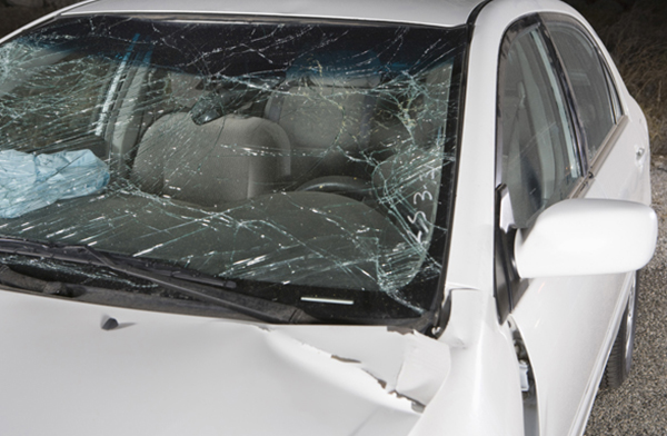 (주)물개특수렉카 이미지