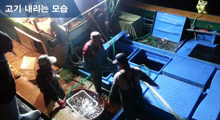 상선도매횟집 이미지
