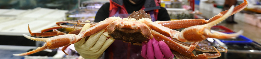 소개 메인 이미지