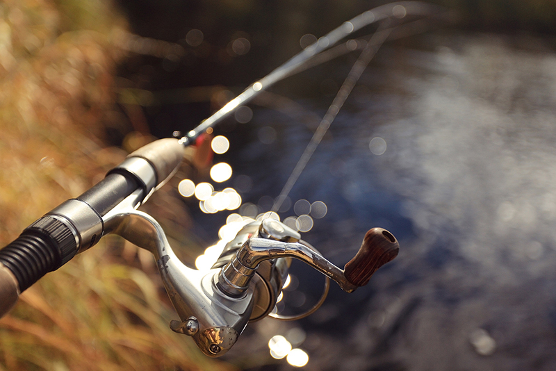 낚싯대, 낚싯밥 판매