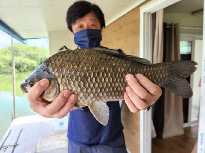 송전낚시터수원집(송전지) 이미지