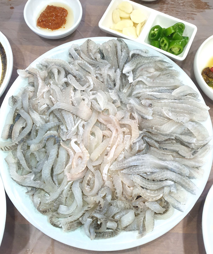 도다리회