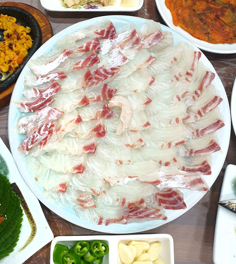 참돔회