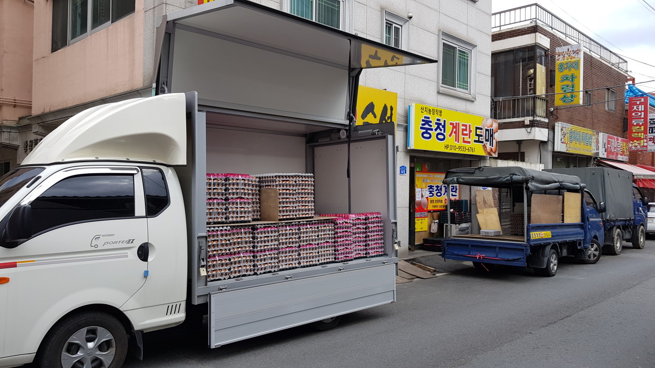 충청계란 이미지