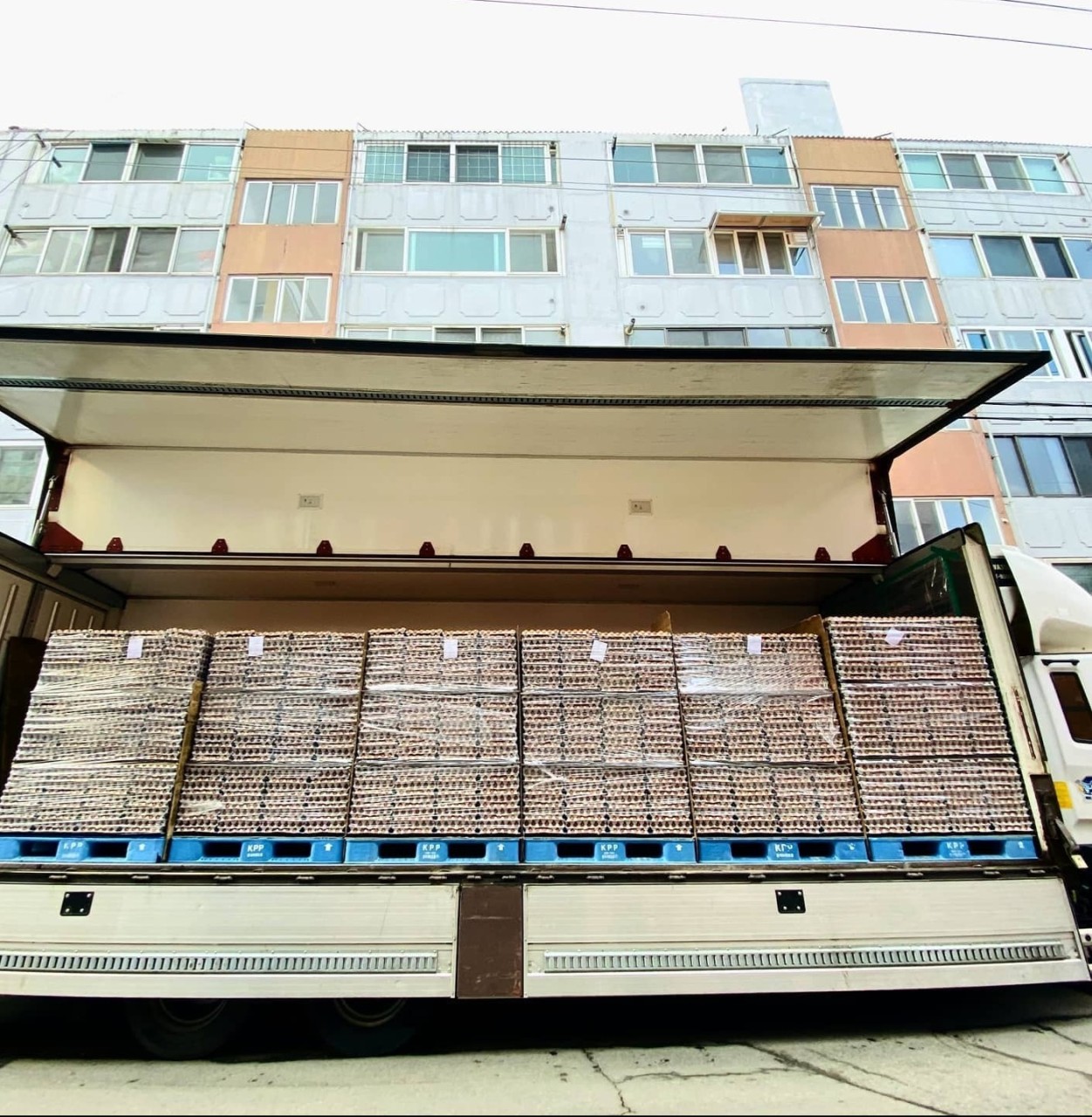 충청계란 이미지