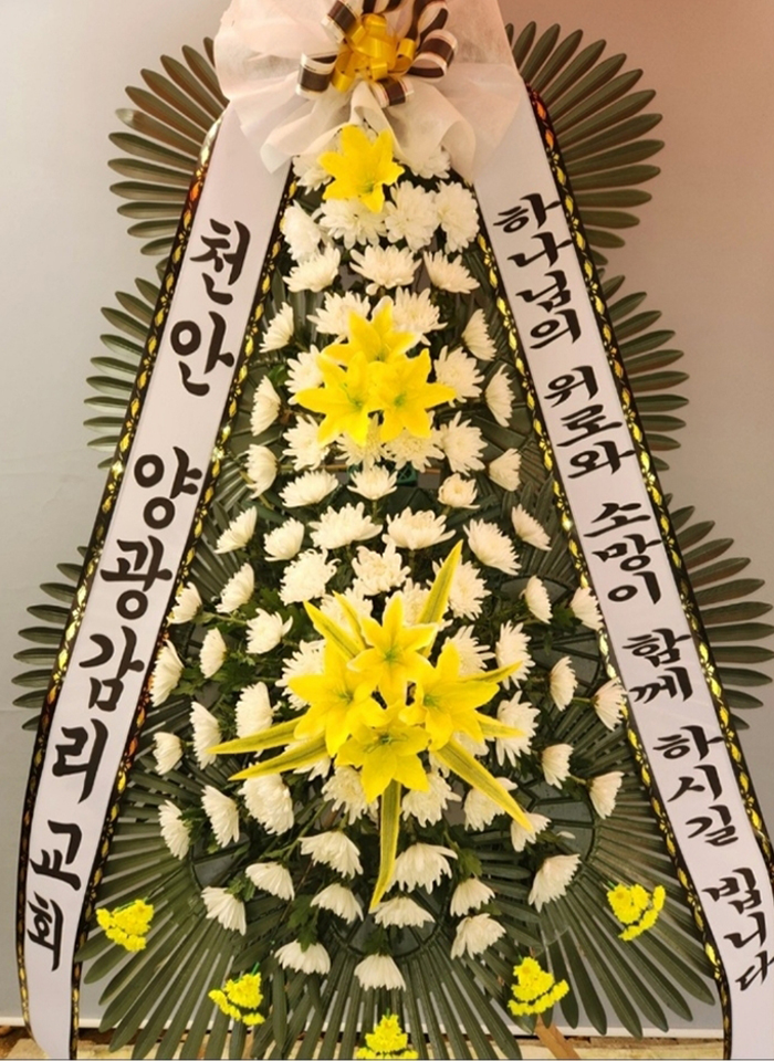 갤러리 이미지