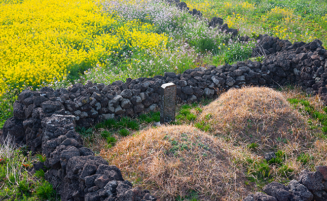 의전법인(株)계빈 이미지