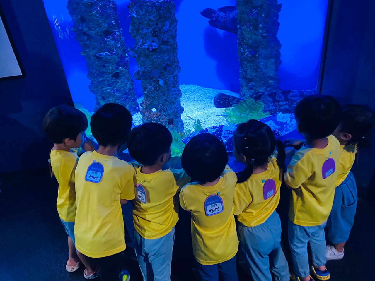 나비마을어린이집 이미지