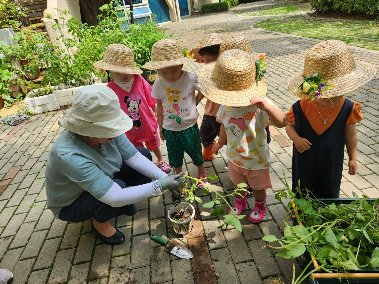 나비마을어린이집 이미지