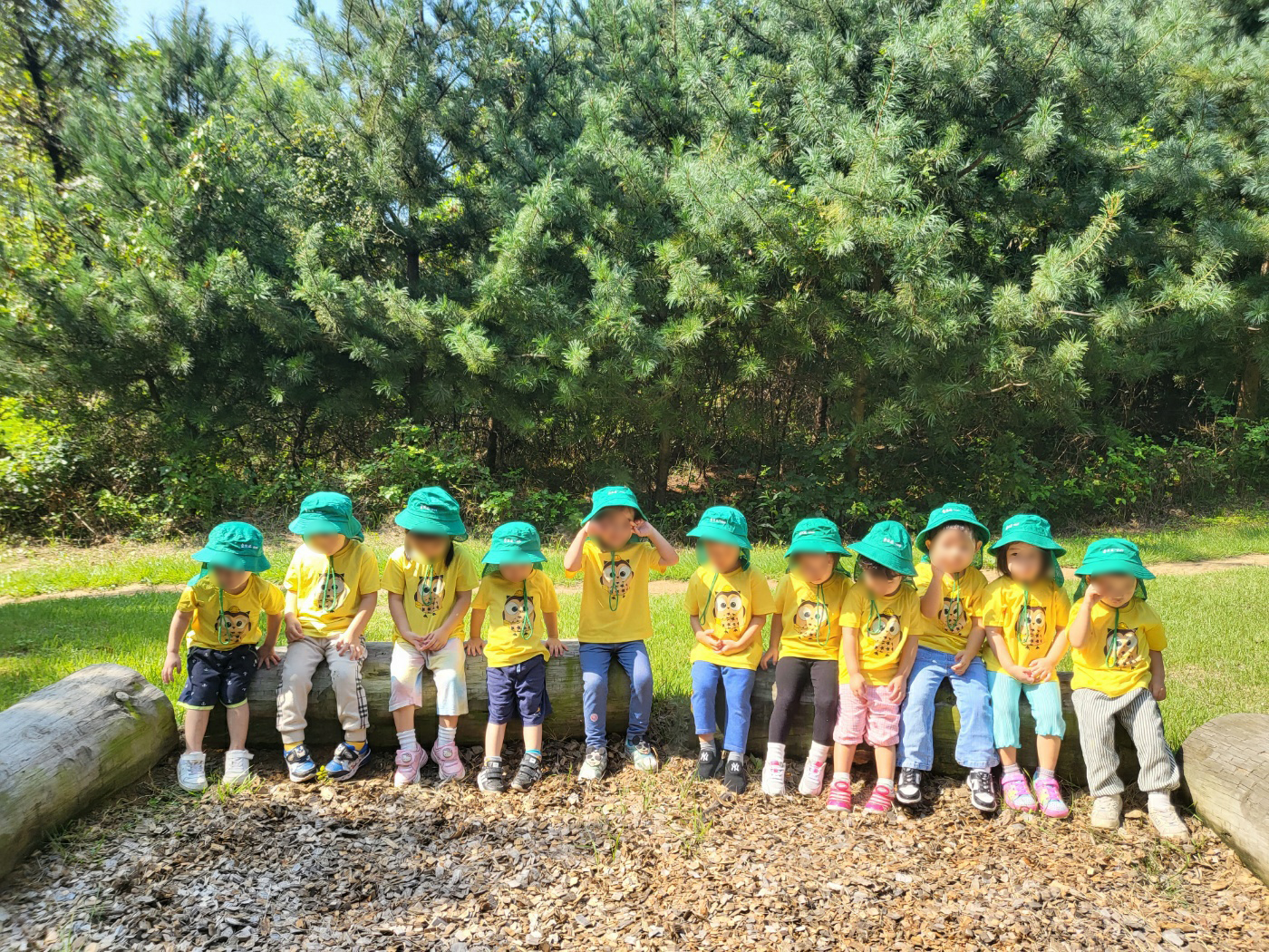 나비마을어린이집 이미지