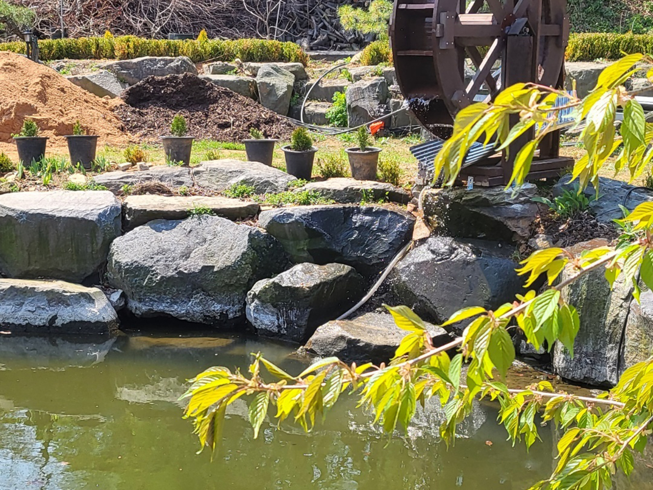 시골집민물장어 이미지