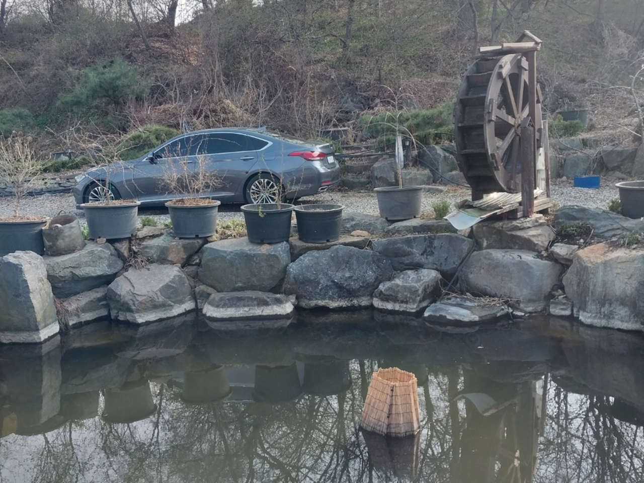 시골집민물장어 이미지