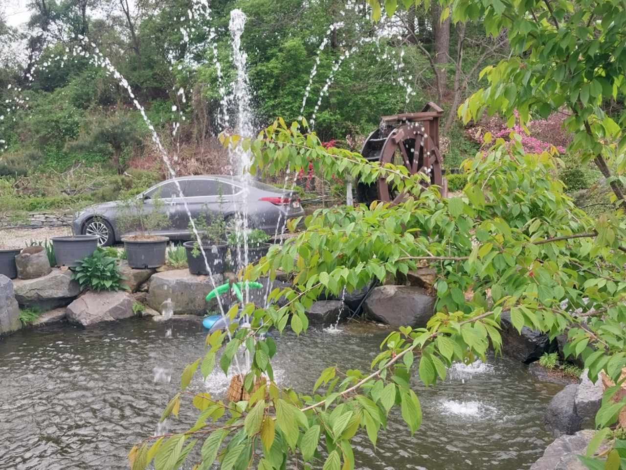 시골집민물장어 이미지