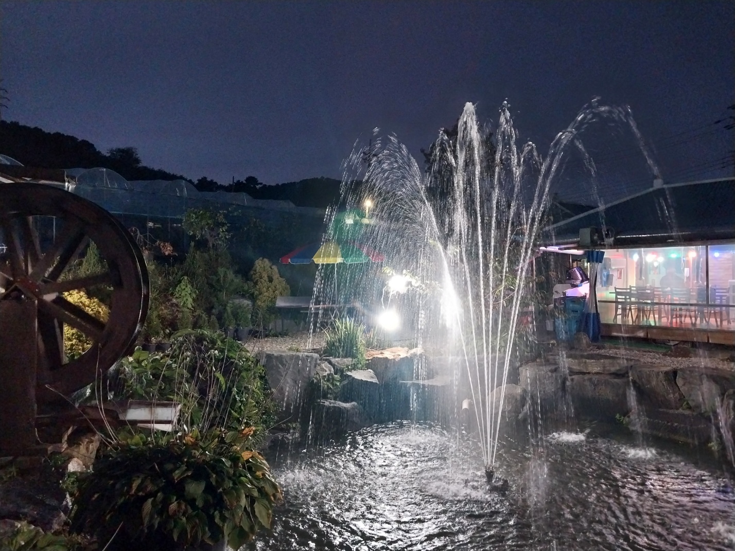 시골집민물장어 이미지