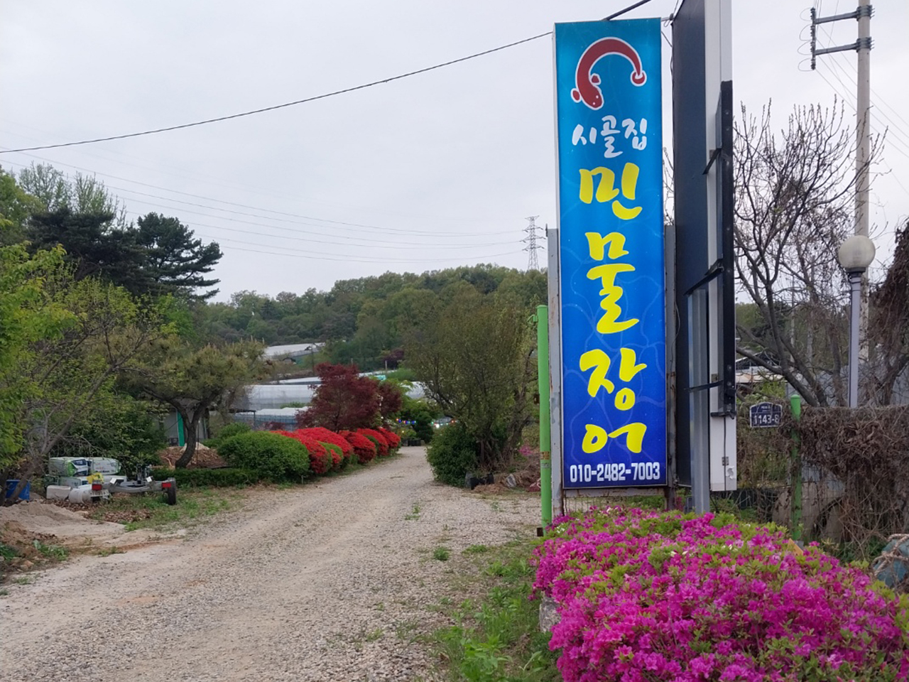 시골집민물장어 이미지