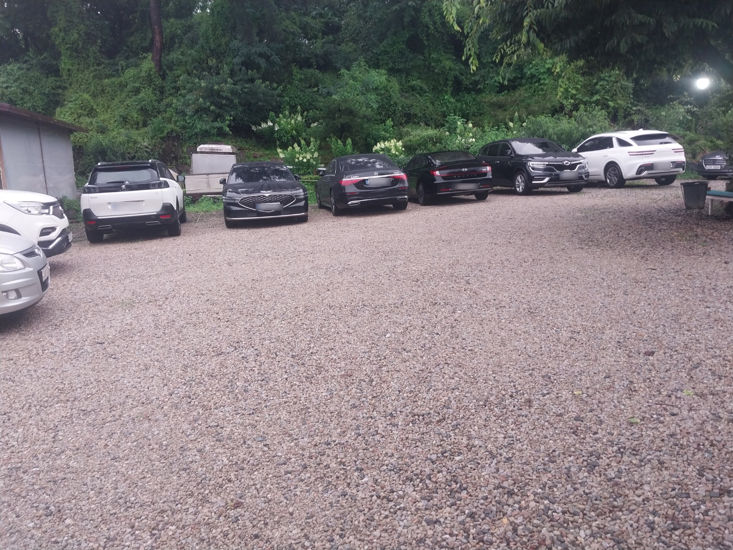 시골집민물장어 이미지