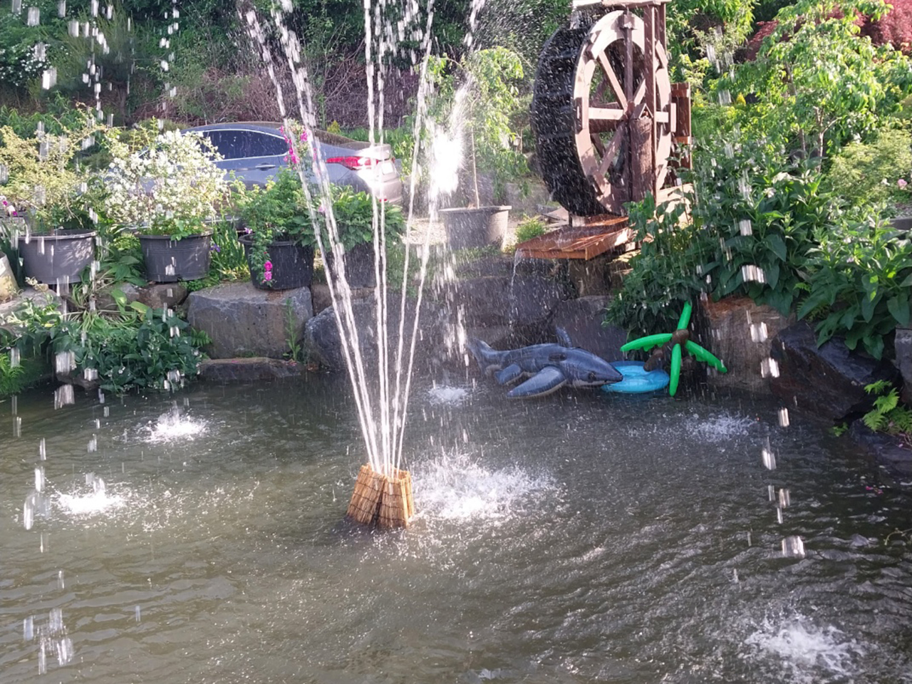 시골집민물장어 이미지