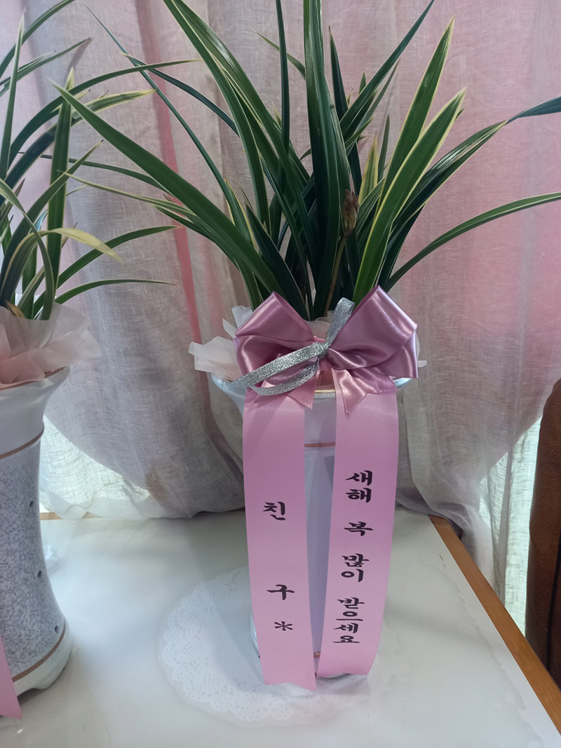 동 · 서양란