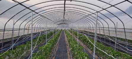 지원산업 이미지